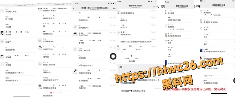 18澳洲留学生李某某人设崩塌wm