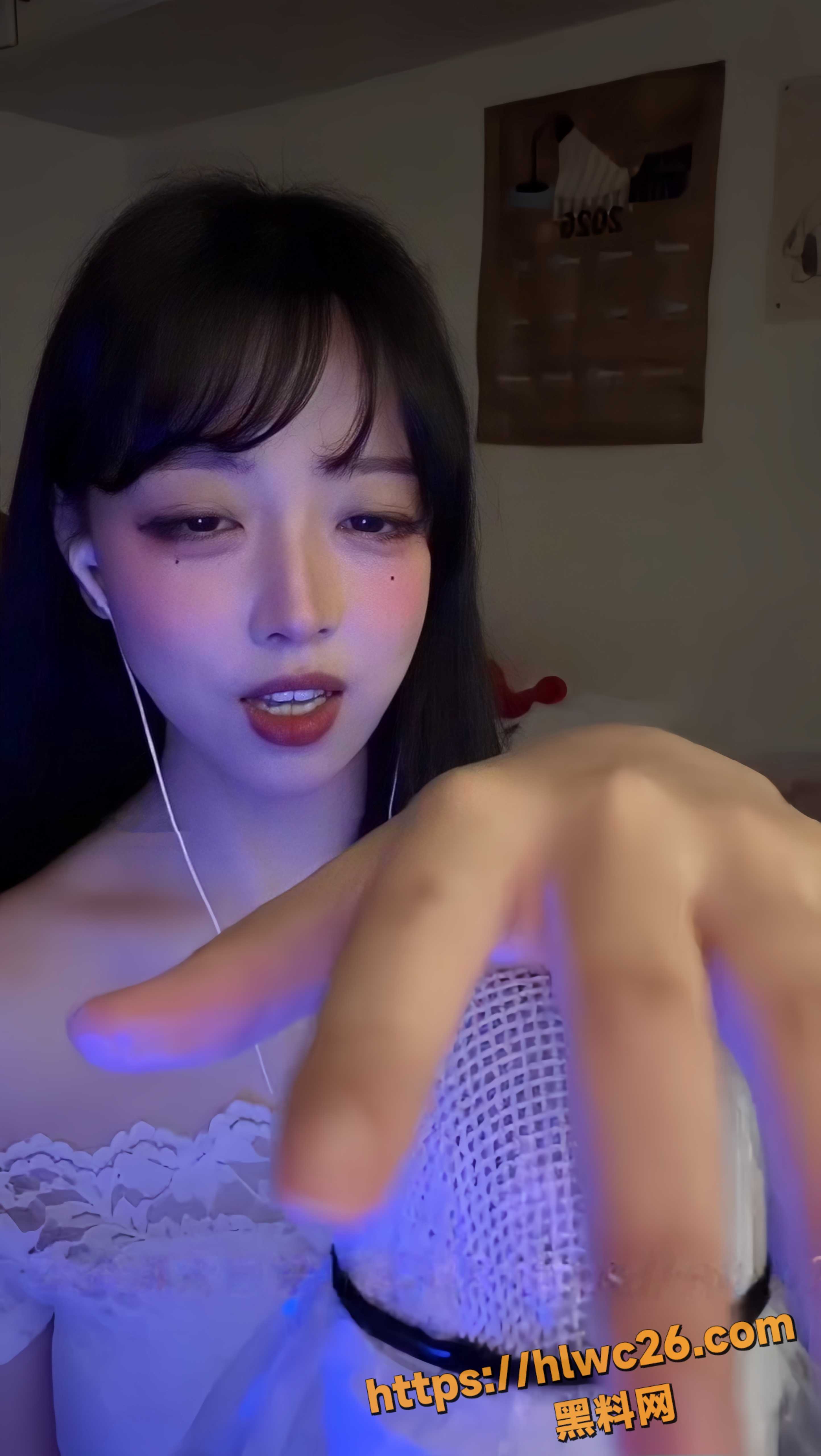 小鸟大王4