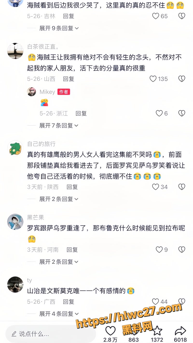 海贼王 7wm