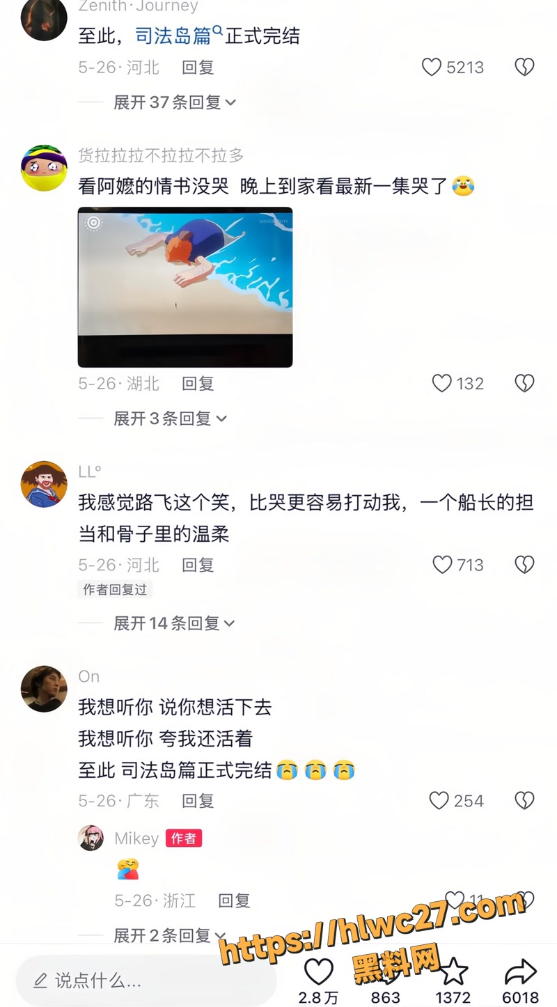 海贼王 9wm