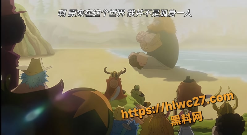 海贼王 8wm