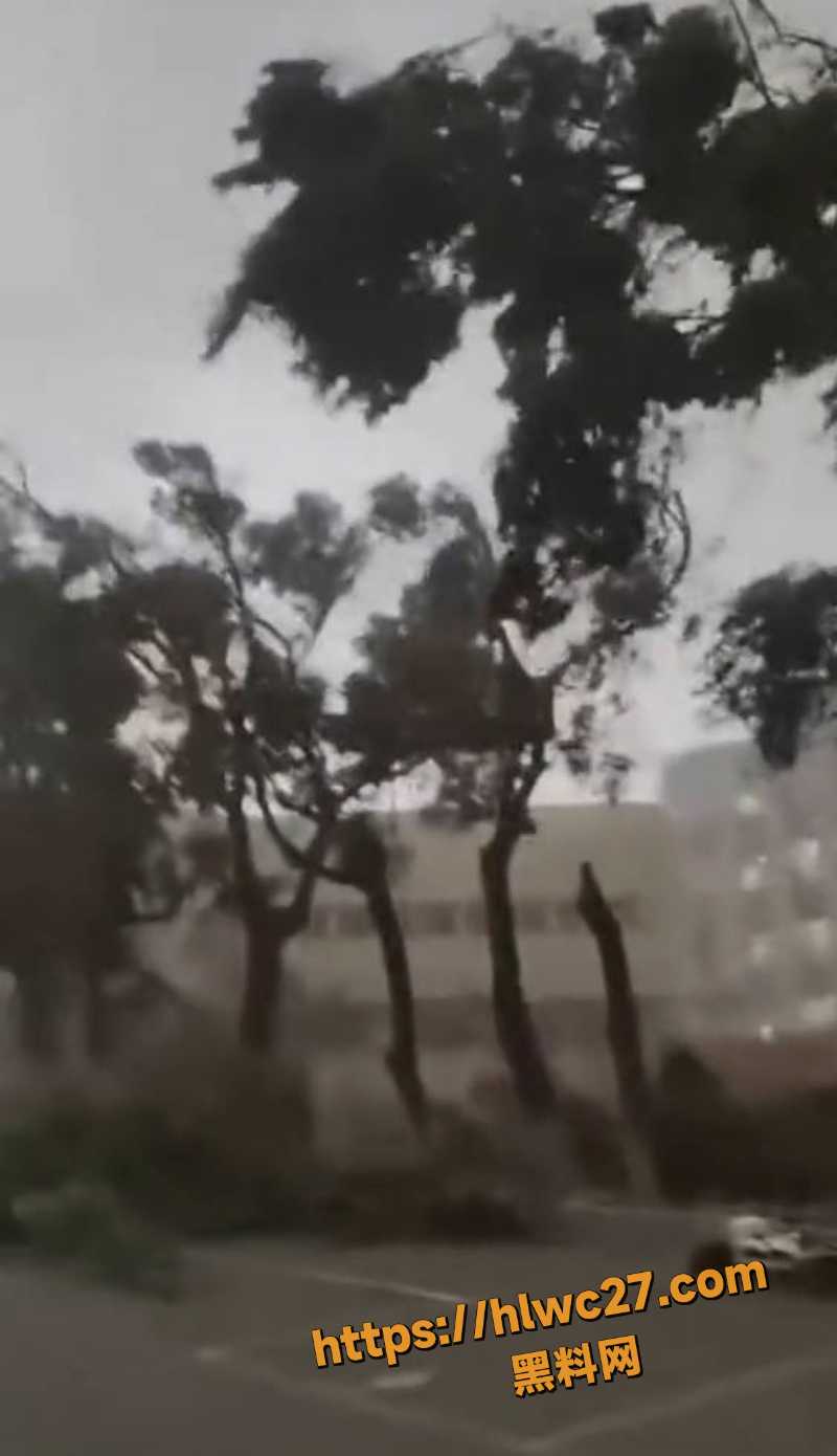 哈尔滨沙尘暴后街头惨状5