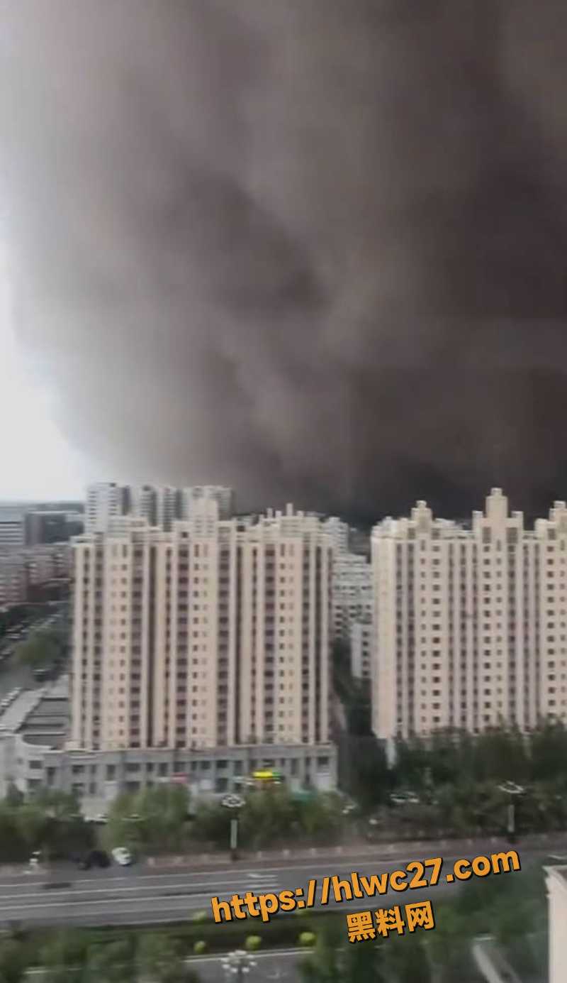 哈尔滨沙尘暴后街头惨状6