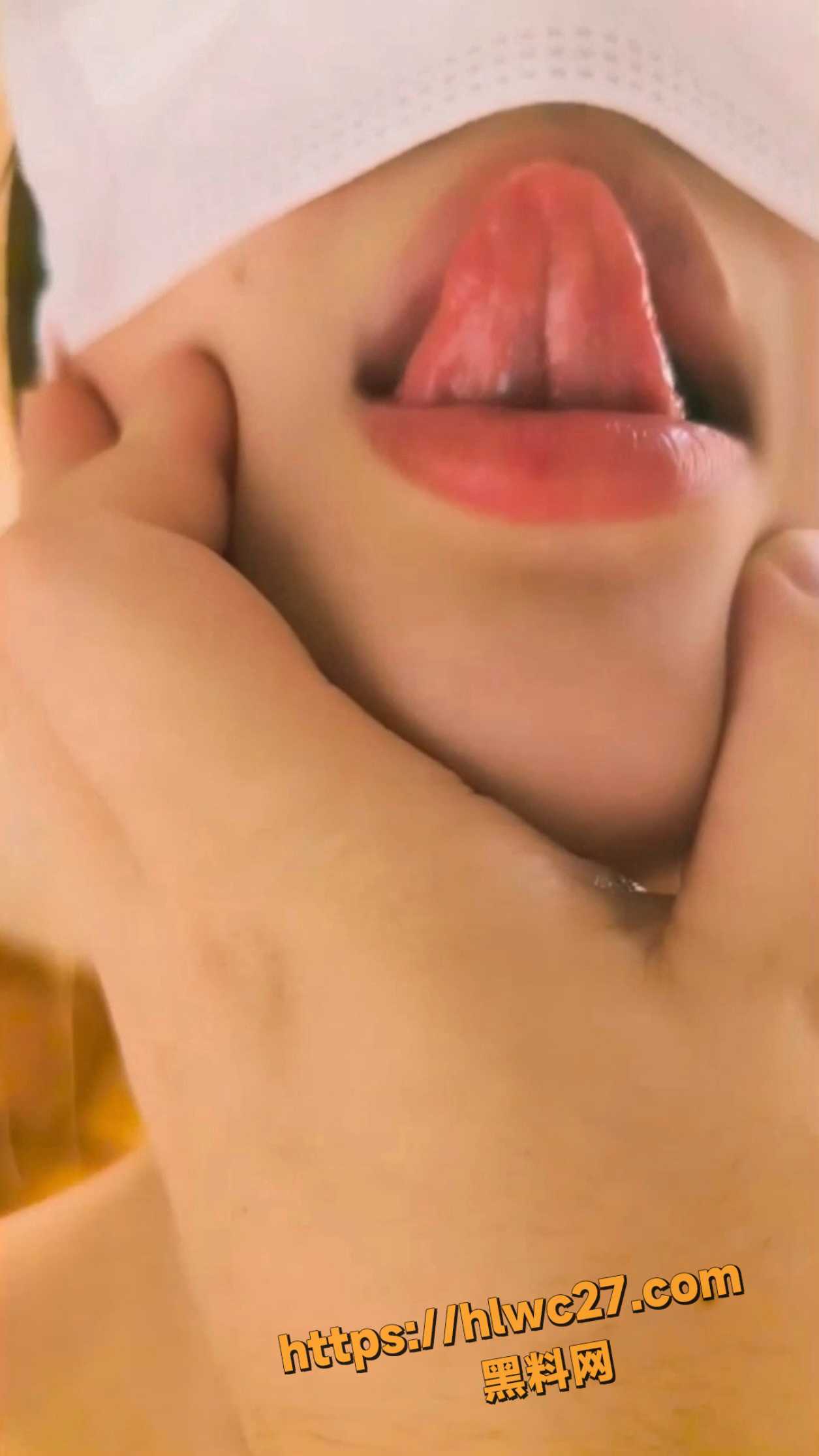 野猫小怪兽  1
