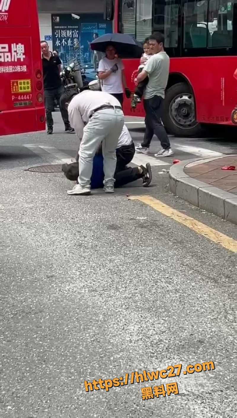 公交司机路怒打架8