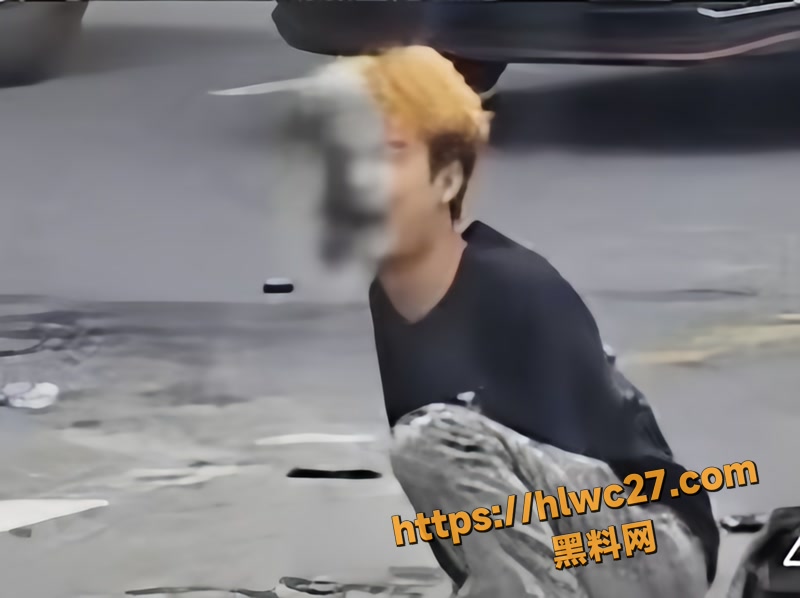 01网红wm