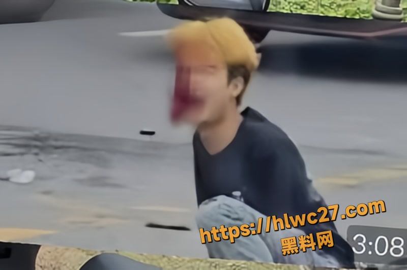 02陈子桢西藏车祸事件wm