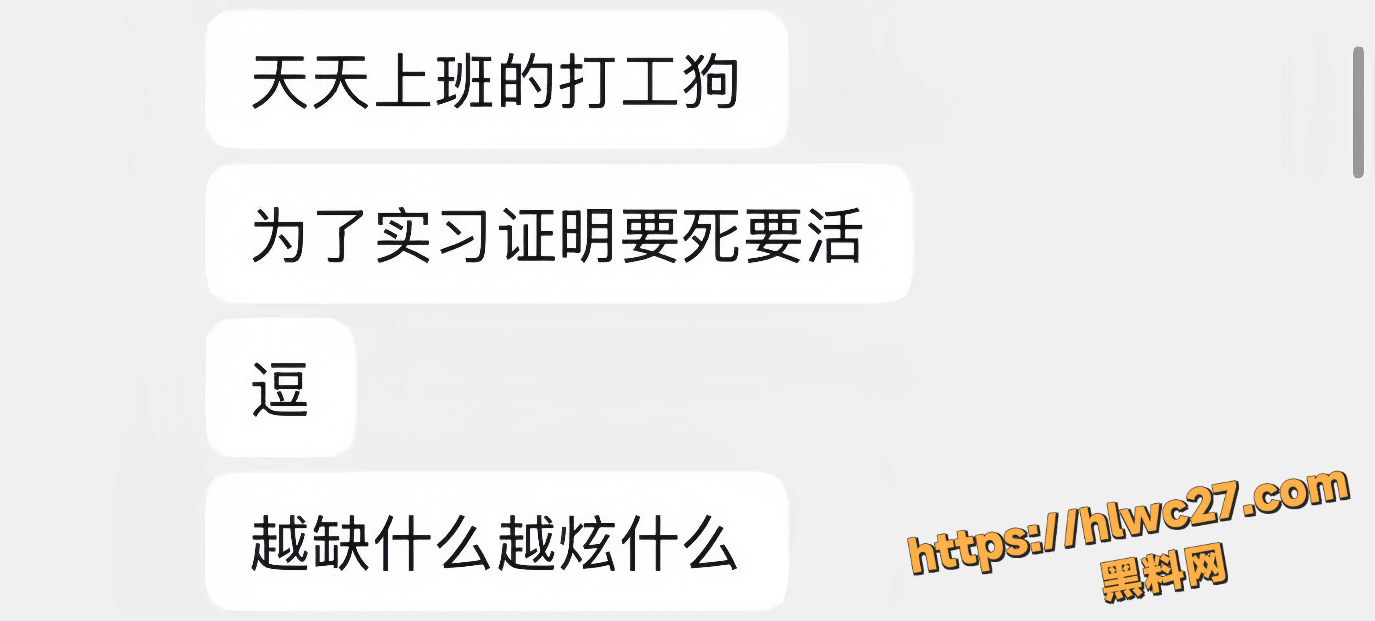 西澳大学IT留子14