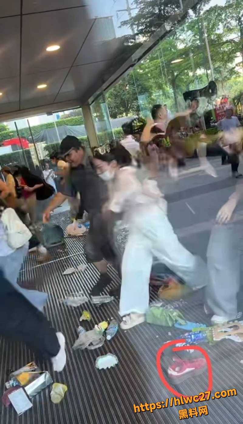 张凌赫女粉丝挤碎玻璃门10