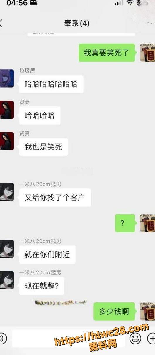 武汉喵咪老师8