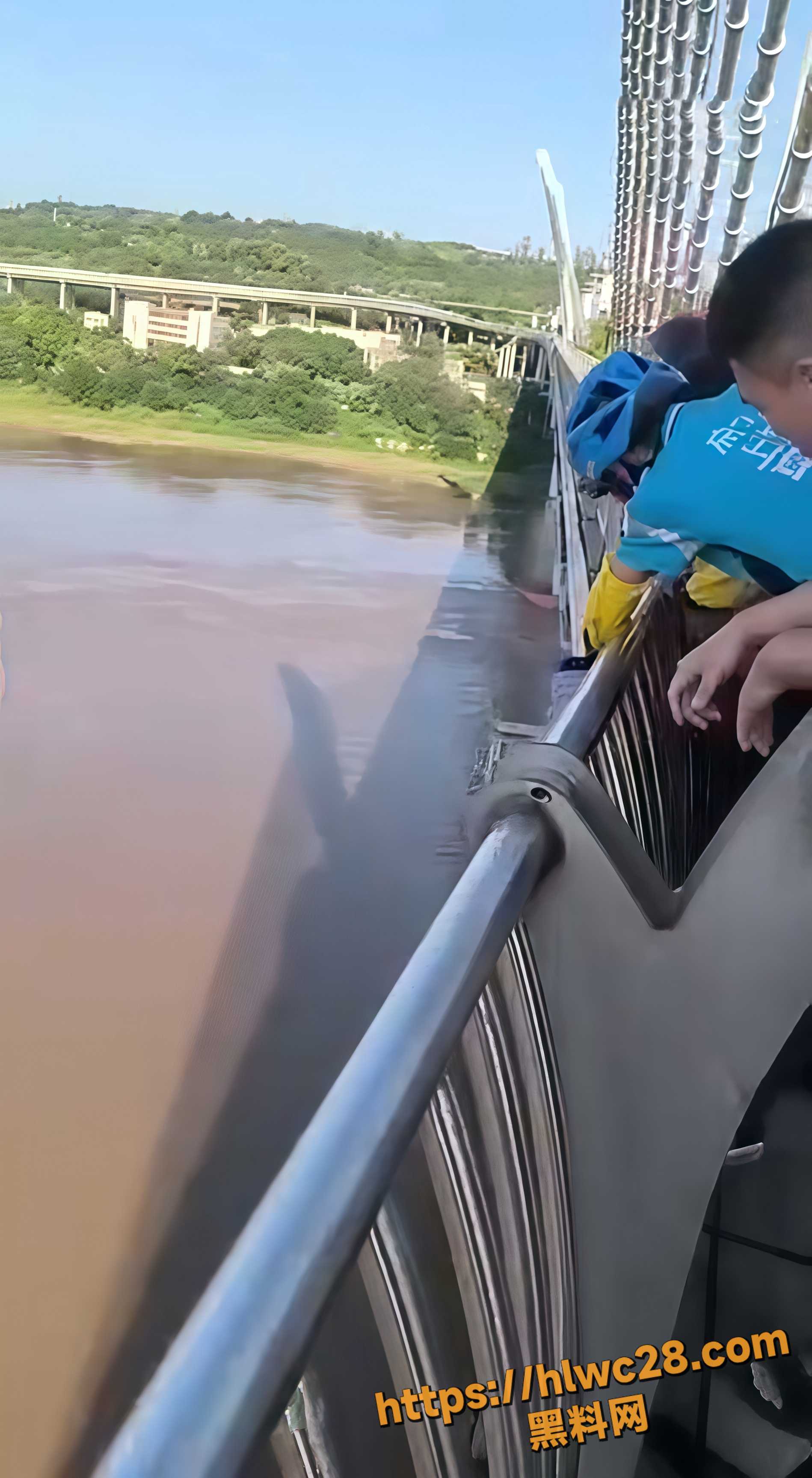 代驾司机桥上救援视频1
