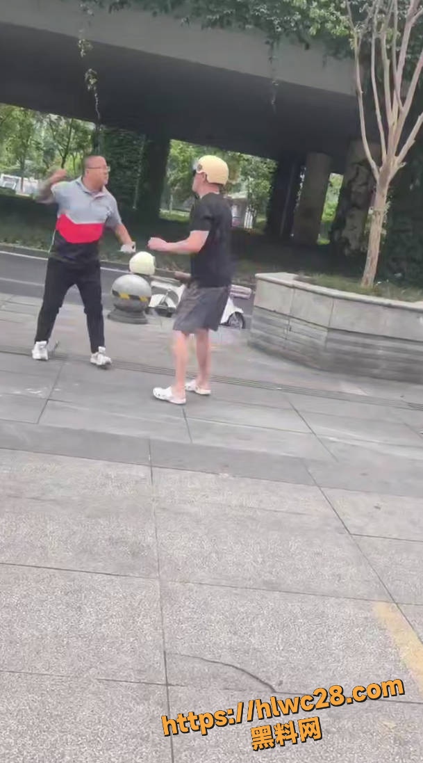大爷vs顺丰小哥斗殴视频