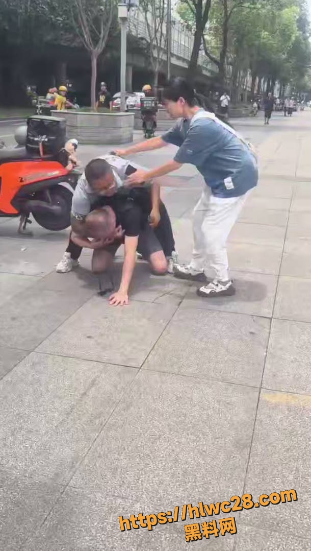 大爷vs顺丰小哥最新视频
