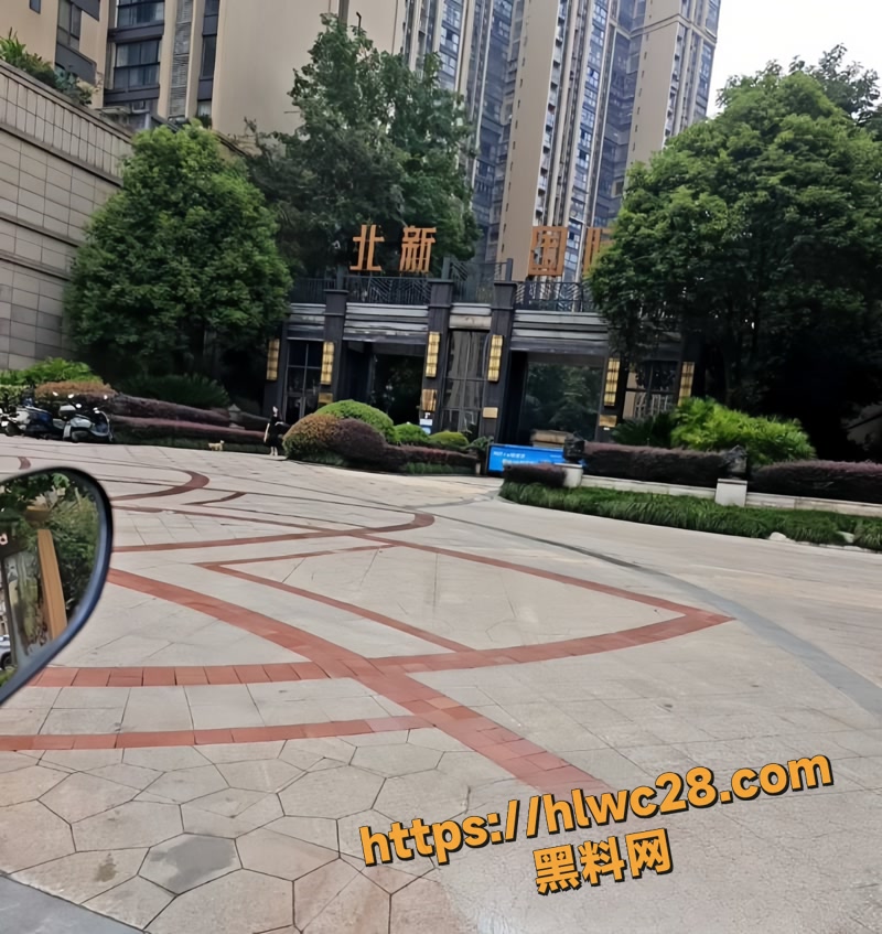 05游顺鑫酒店偷情监控视频wm