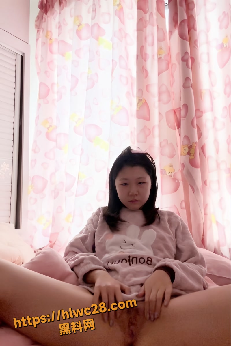 07小米汽车wm