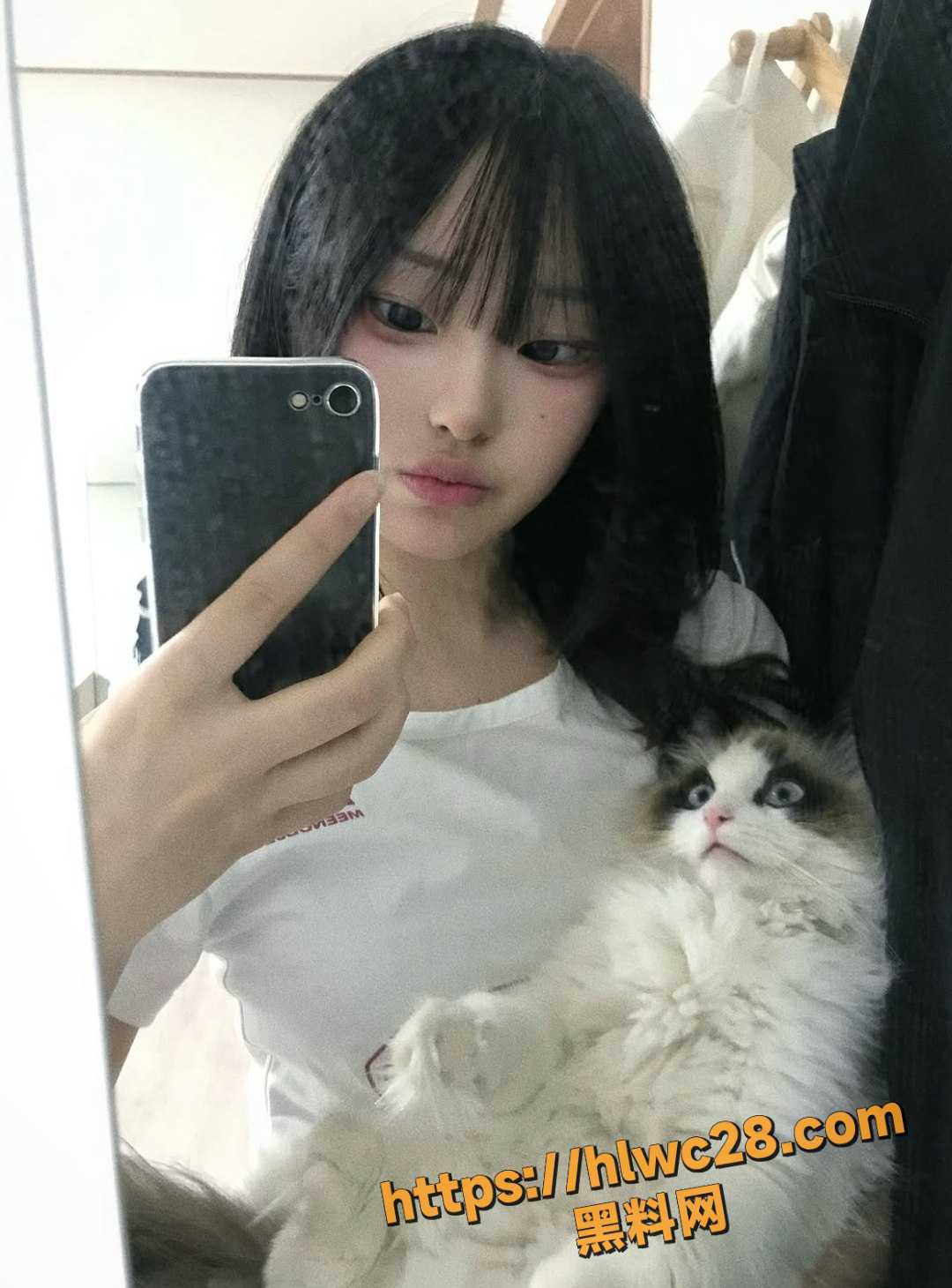 网红8