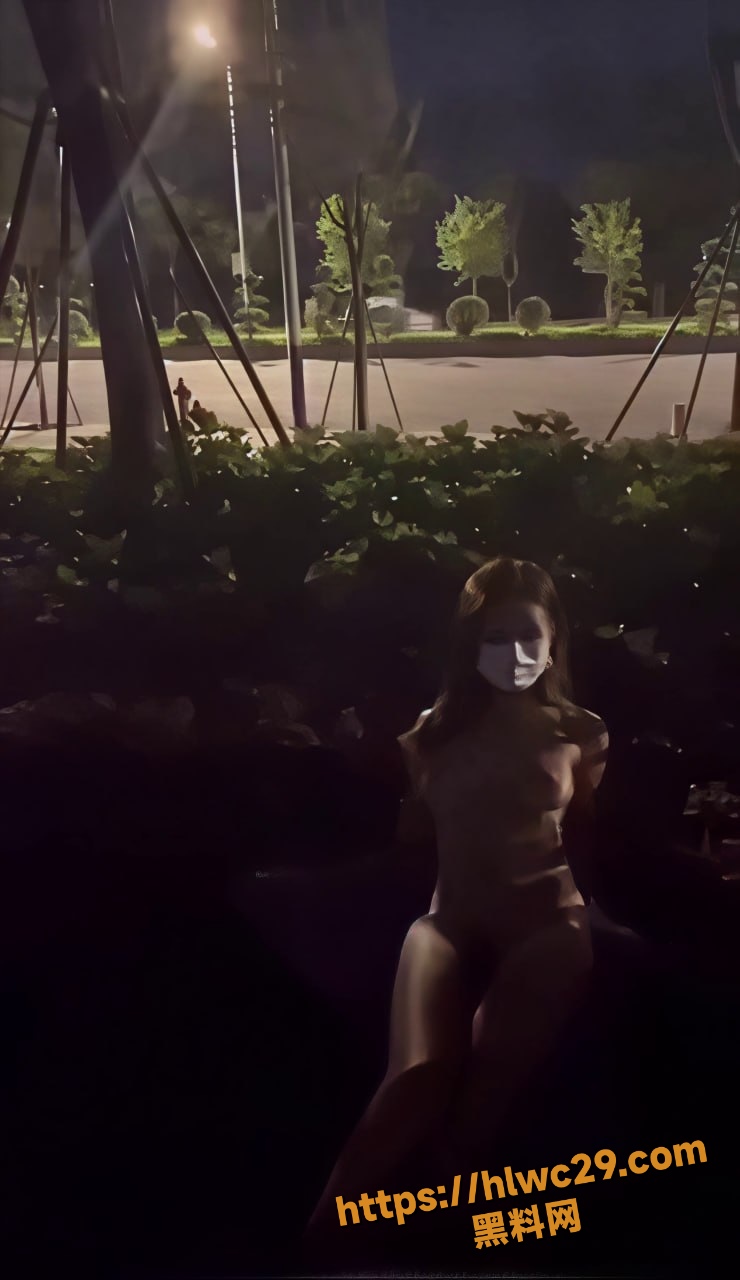 小瓦力
