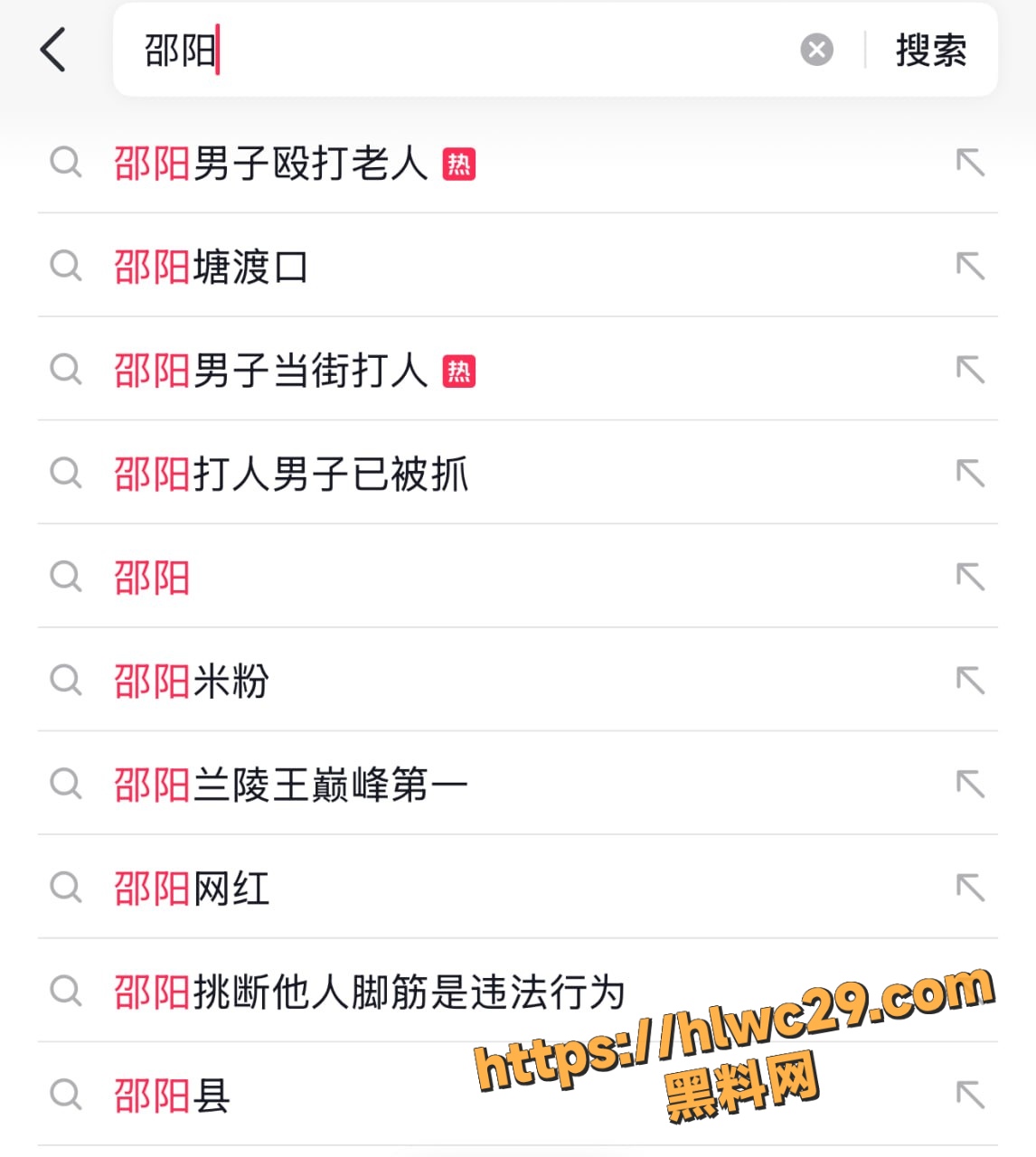 湖南邵阳打人者落网2