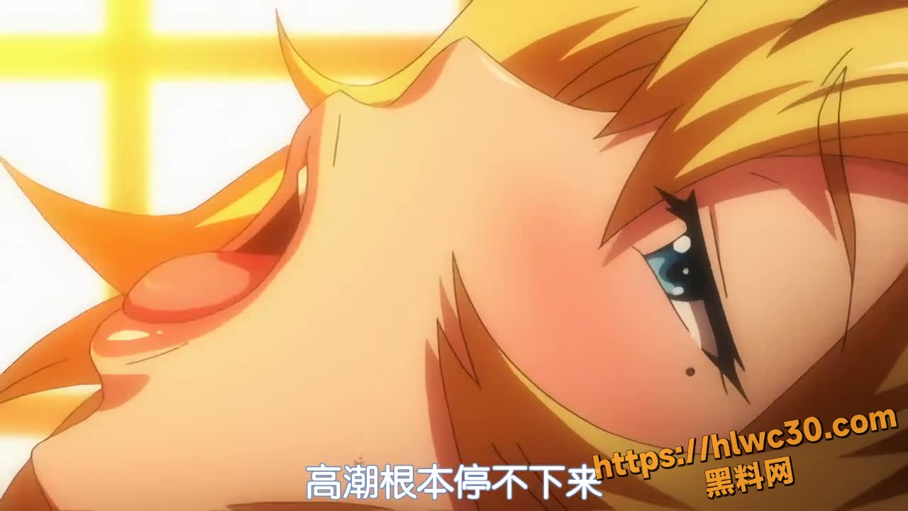成人动漫5