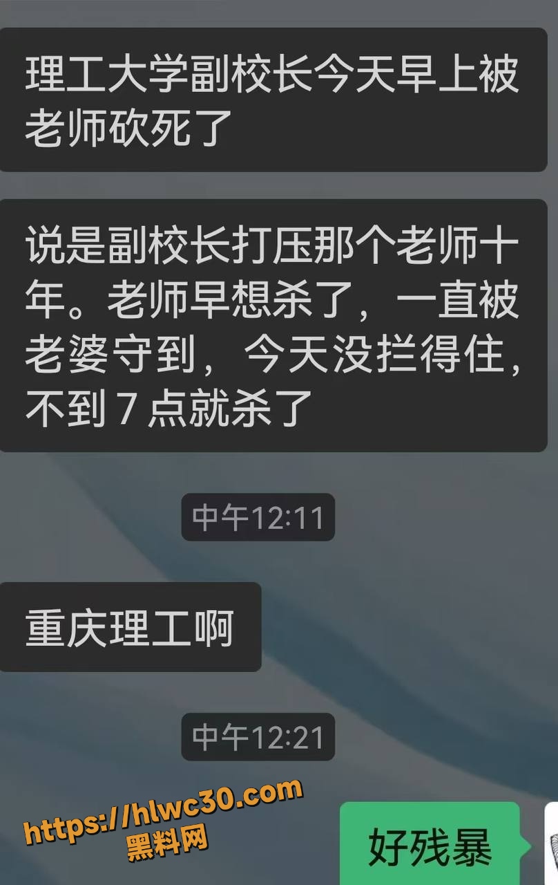 重庆理工大学教授杀校长视频4
