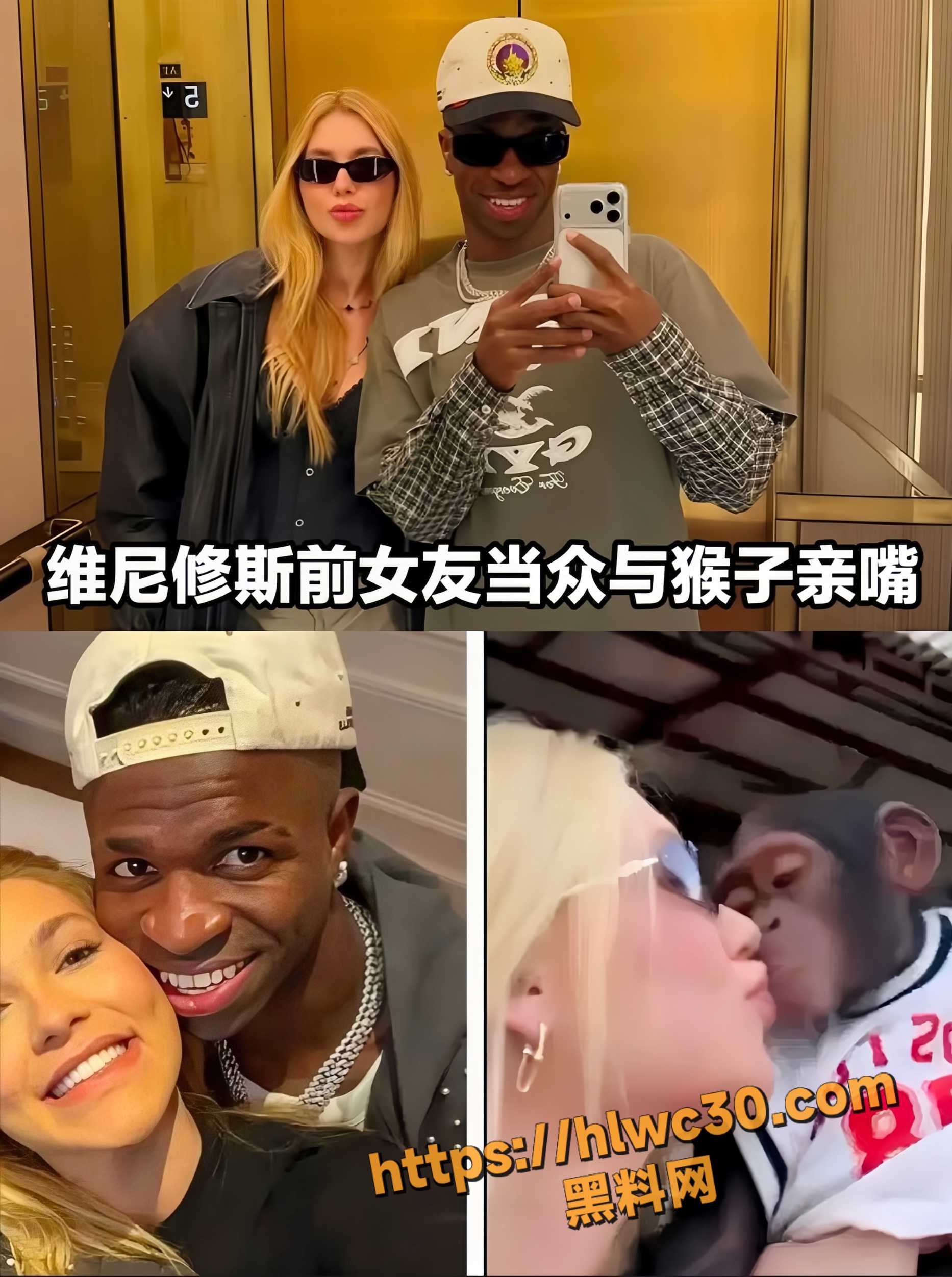 维尼修斯19