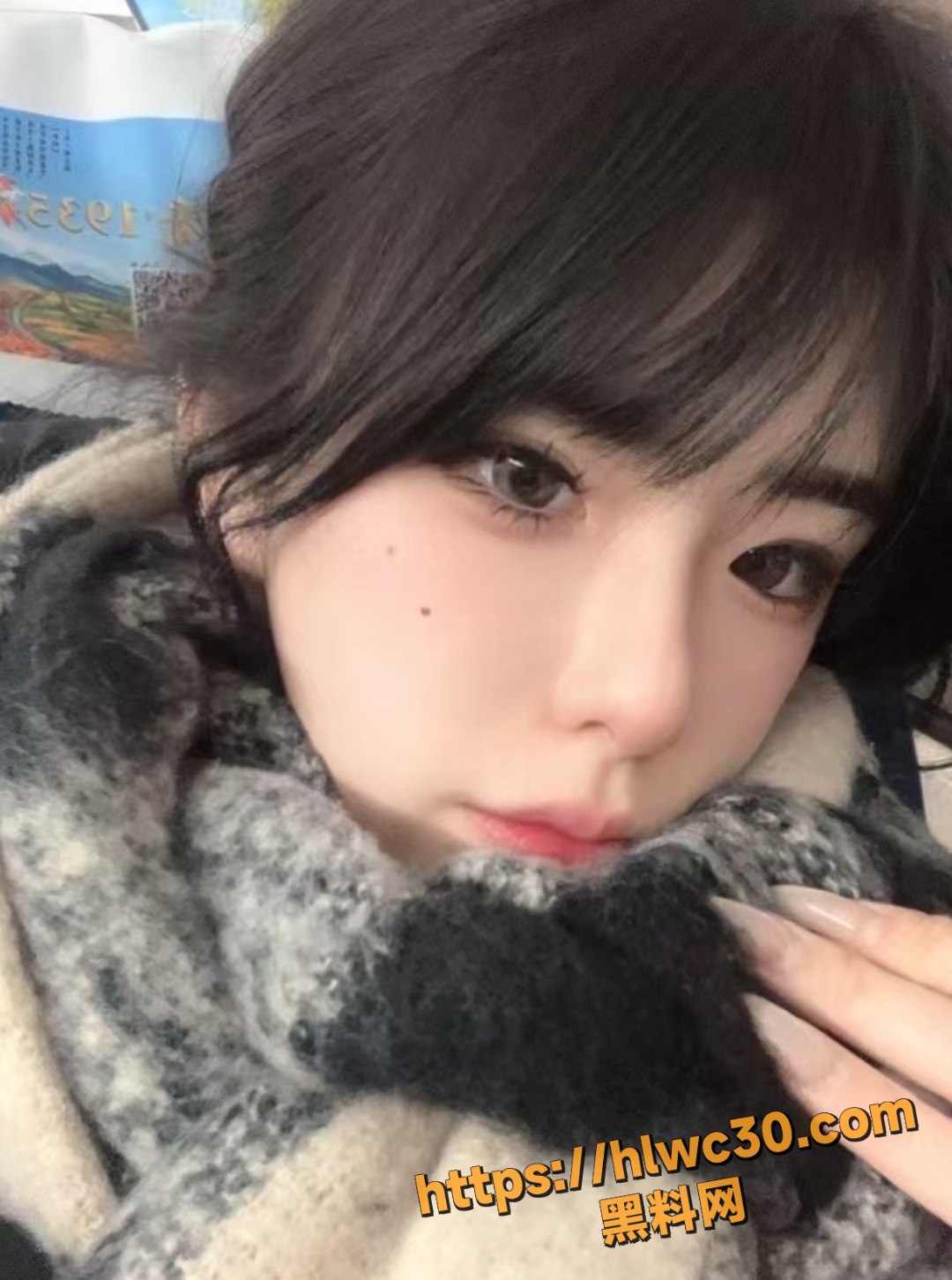 网美8