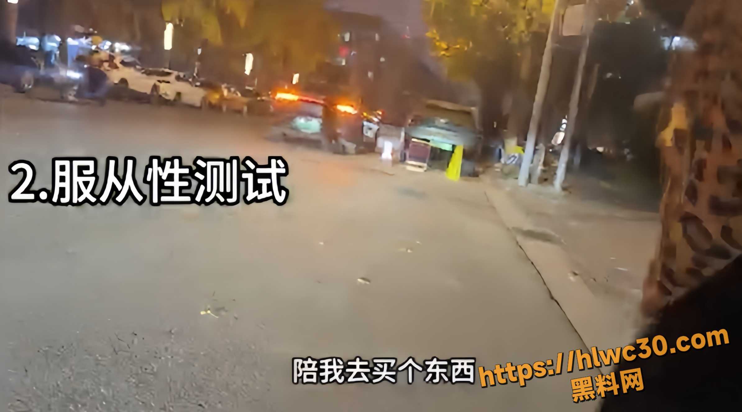 街头搭讪资源合集3