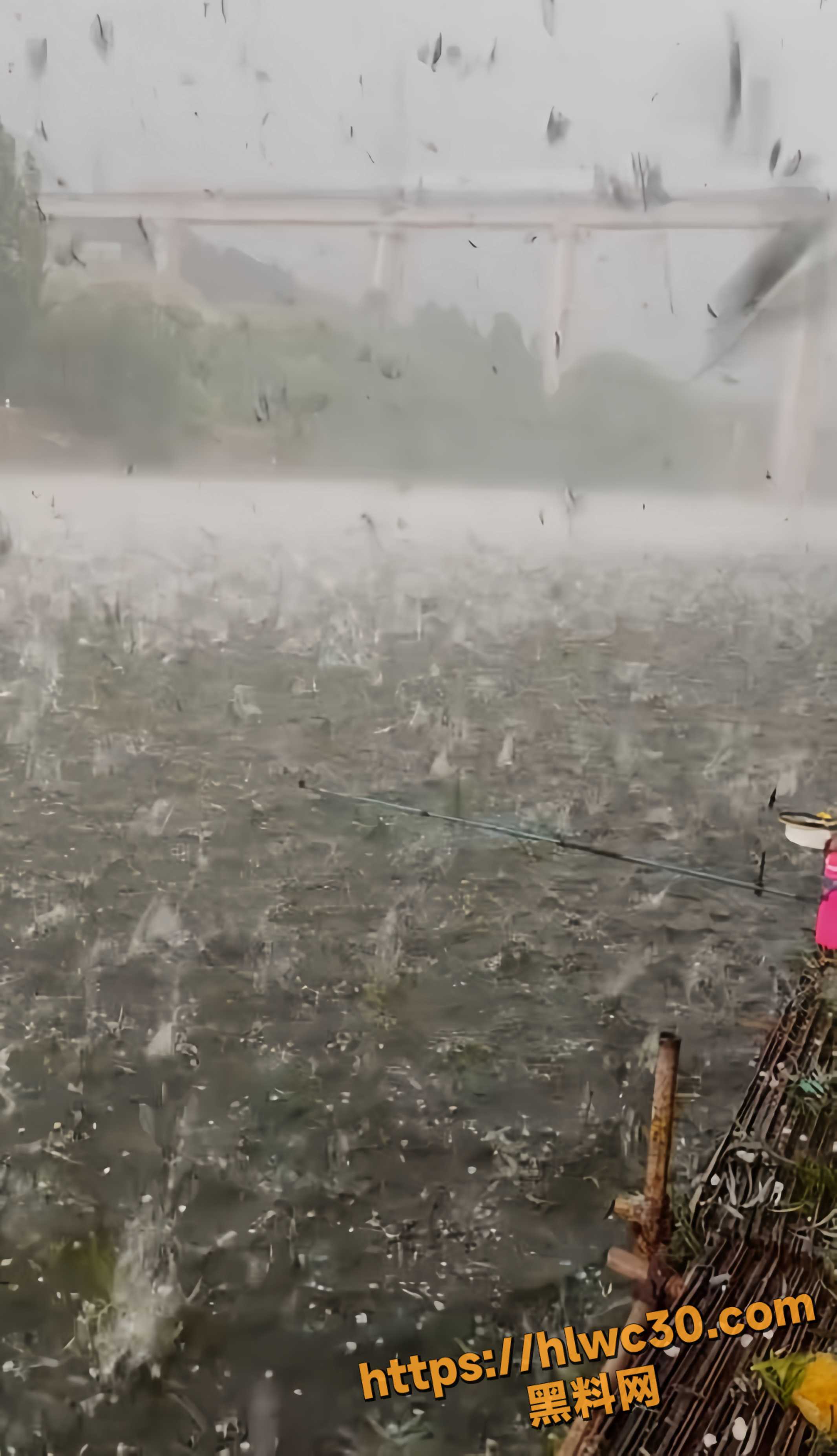 冰雹灾害现场视频1