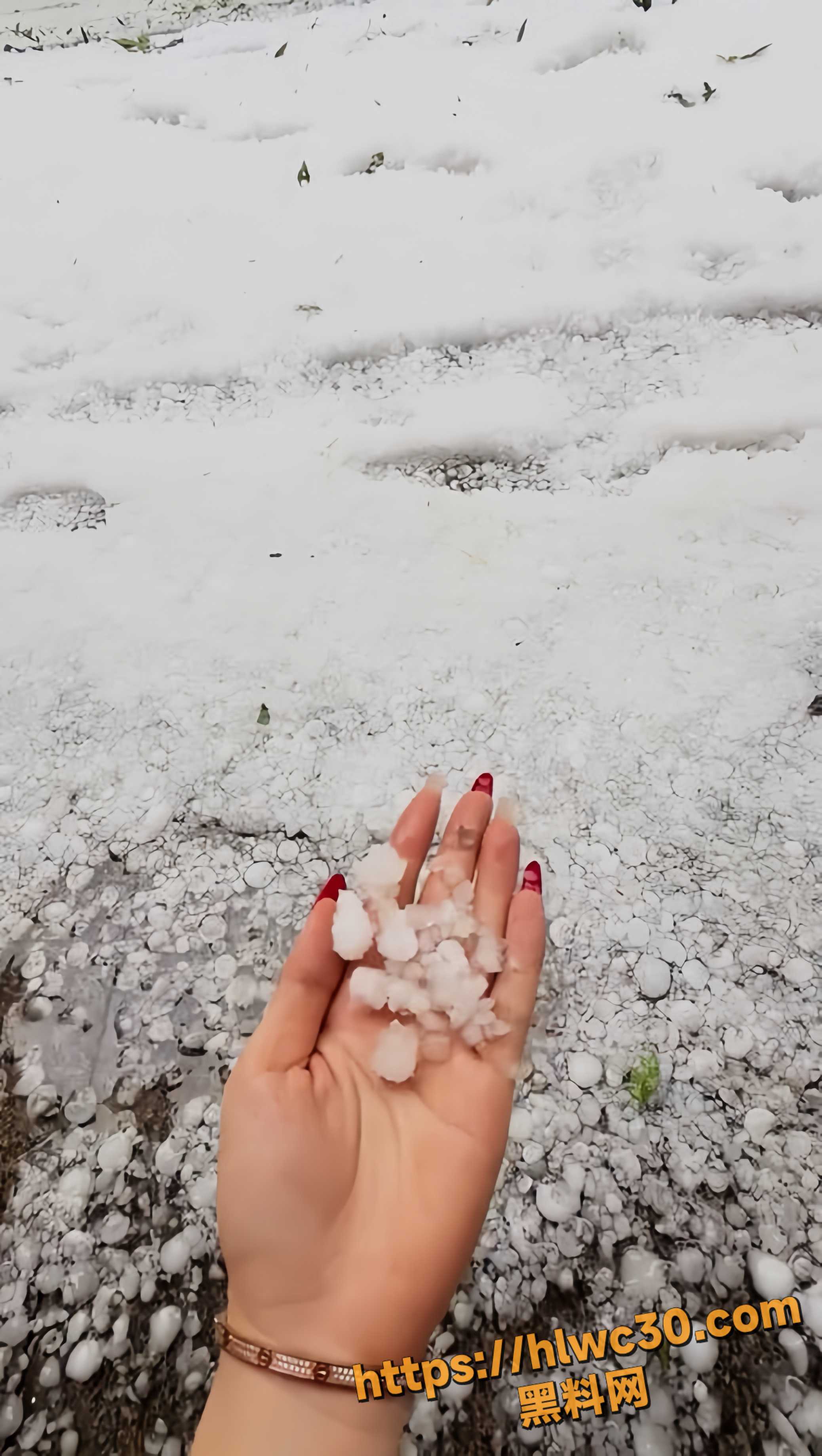 河北冰雹现场视频3