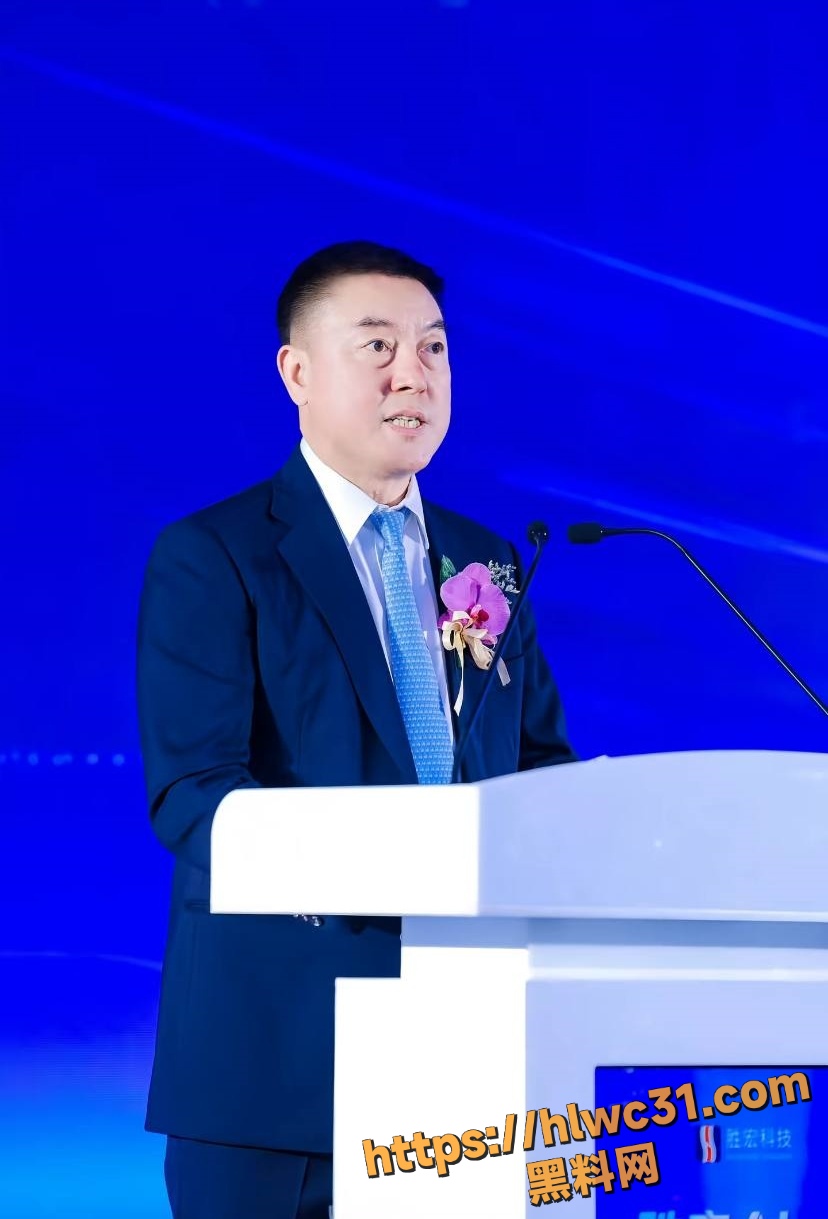 胜宏科技陈涛不雅视频4