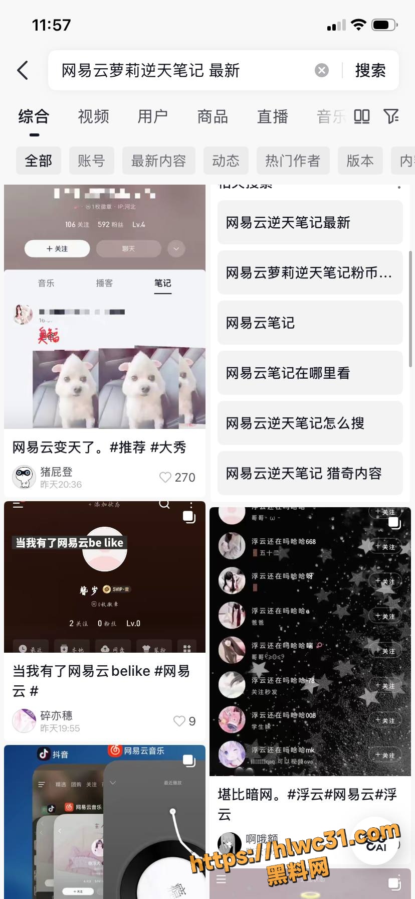 网易云音乐擦边事件