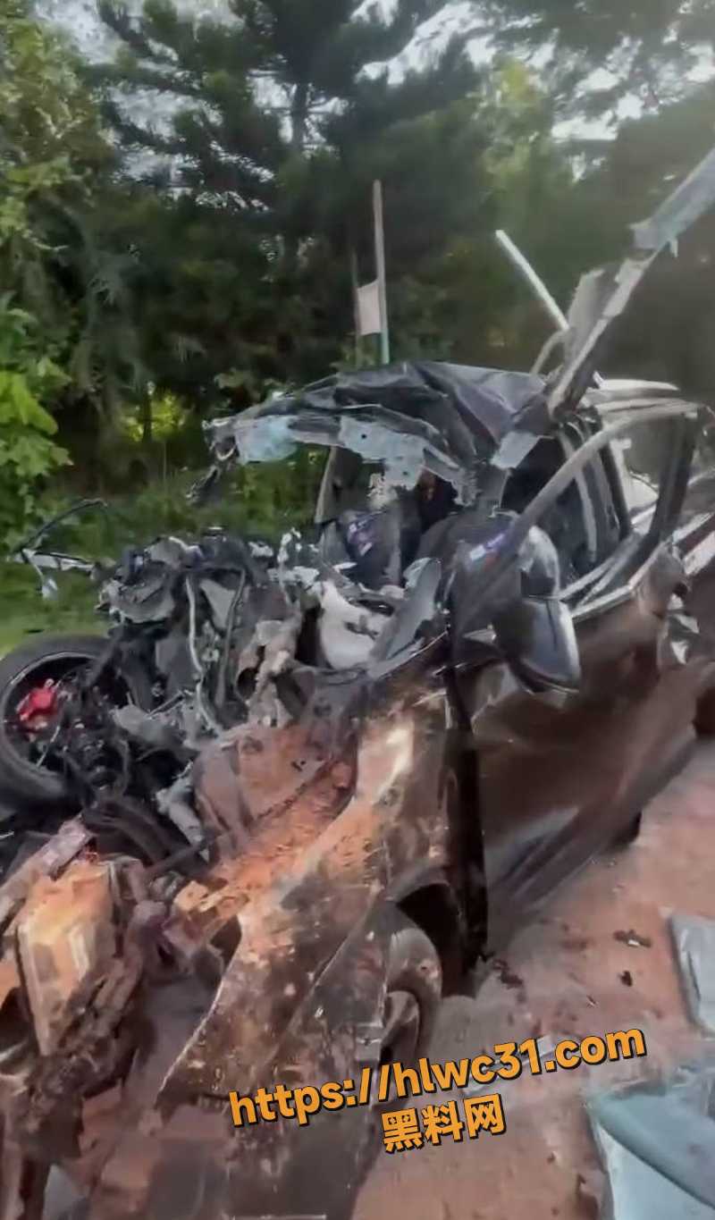 马来西亚男子提车当天出事曝光5