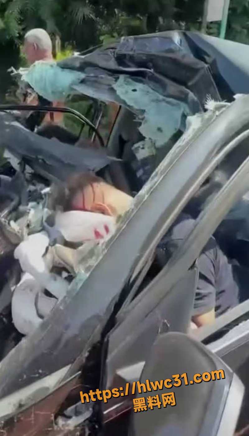 马来西亚男子提车当天出事曝光6