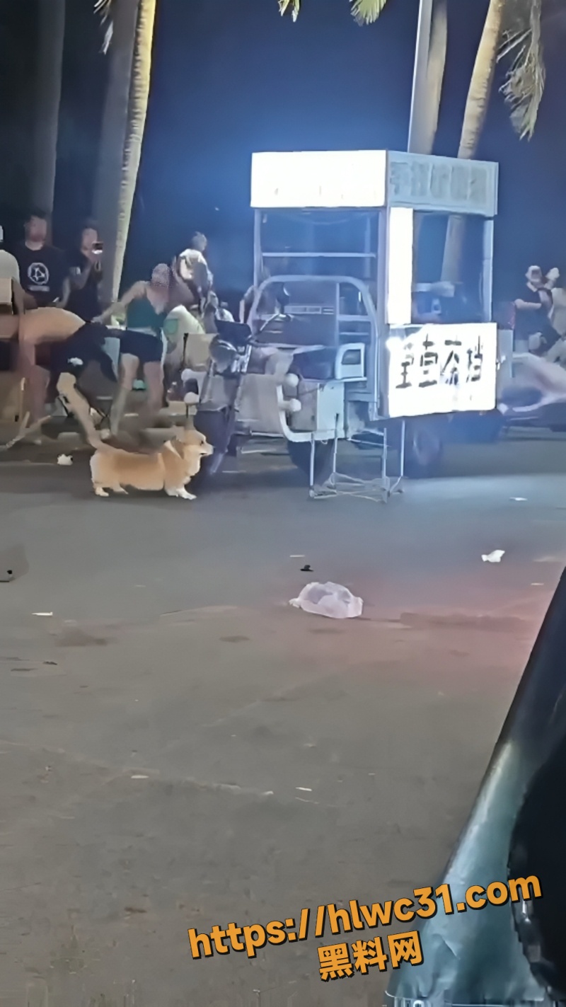 深夜街头醉汉发疯4