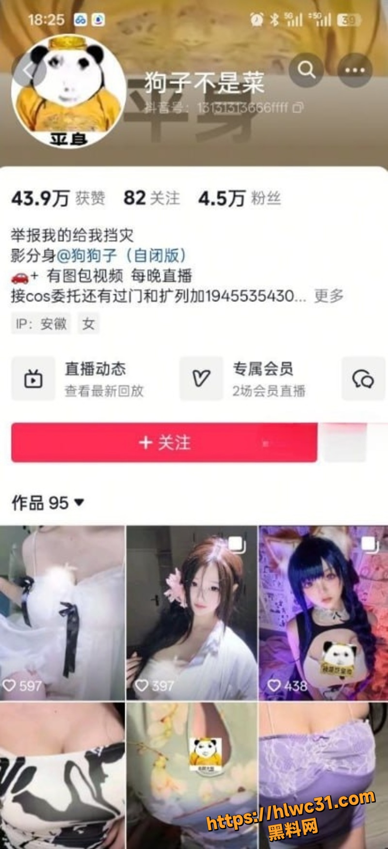 高颜值狗子不是菜诱惑1