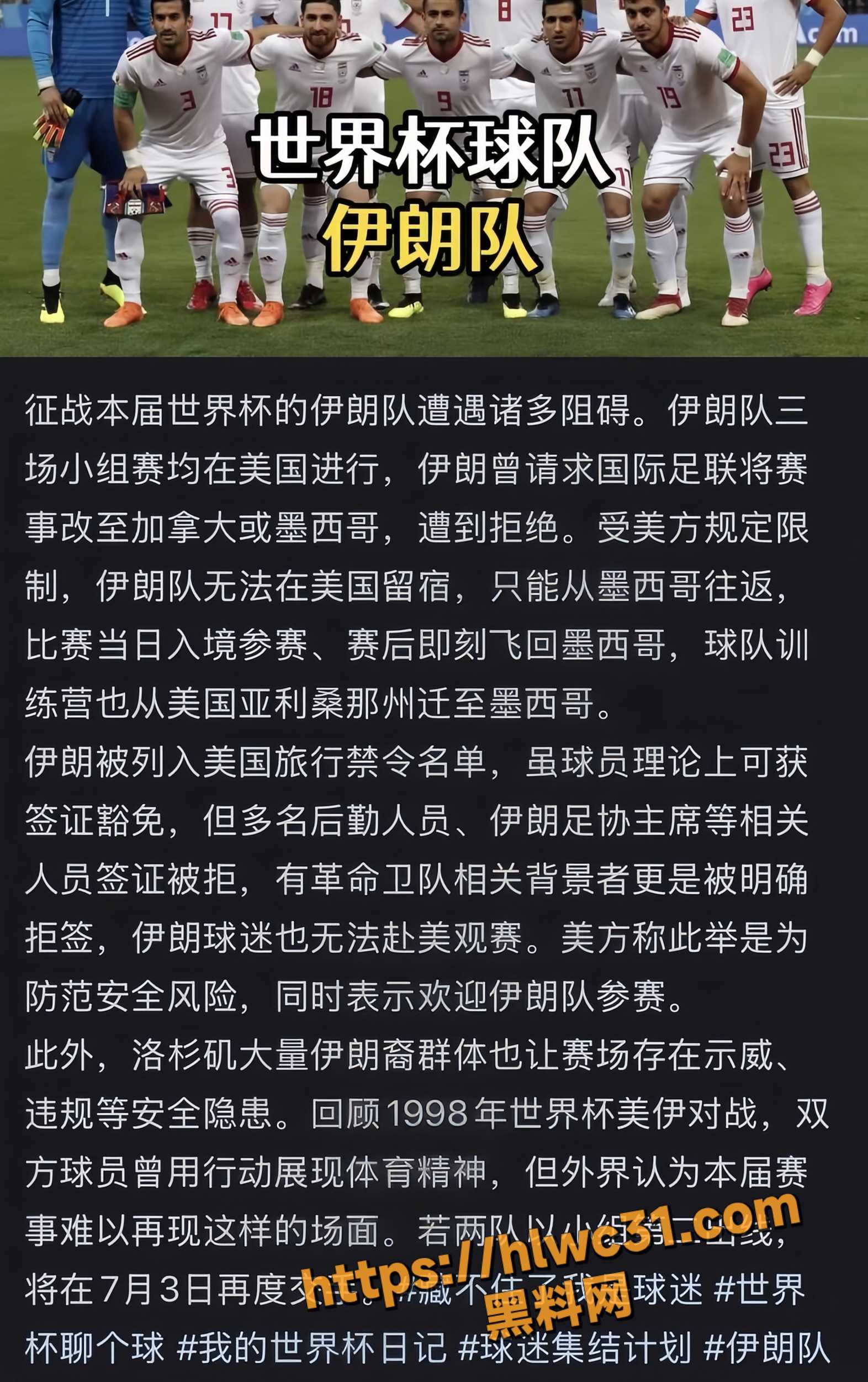 世界杯伊朗国家队7