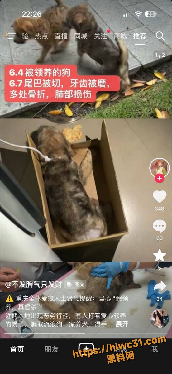 山姆打包哥虐狗视频3