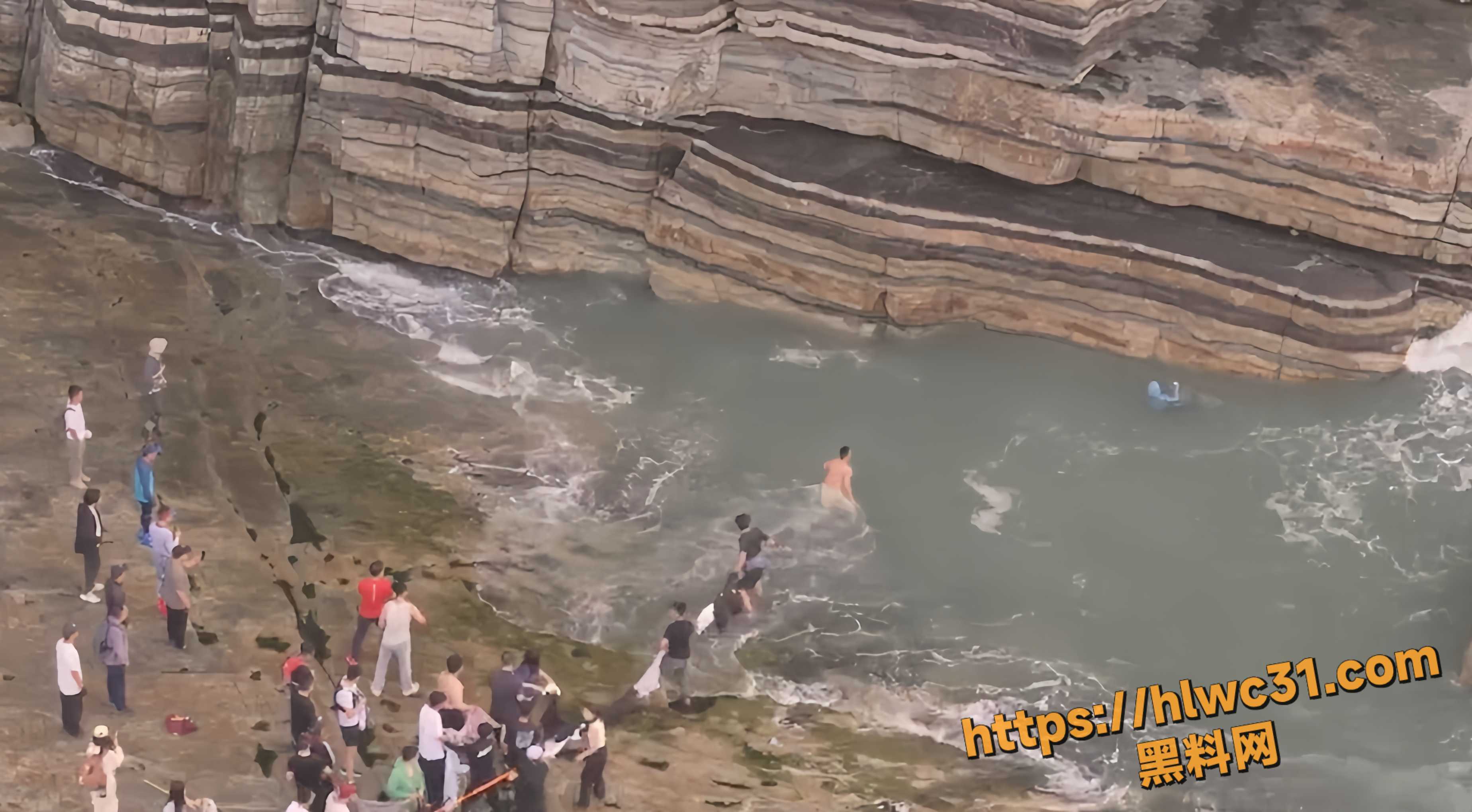 重庆虐狗事件4