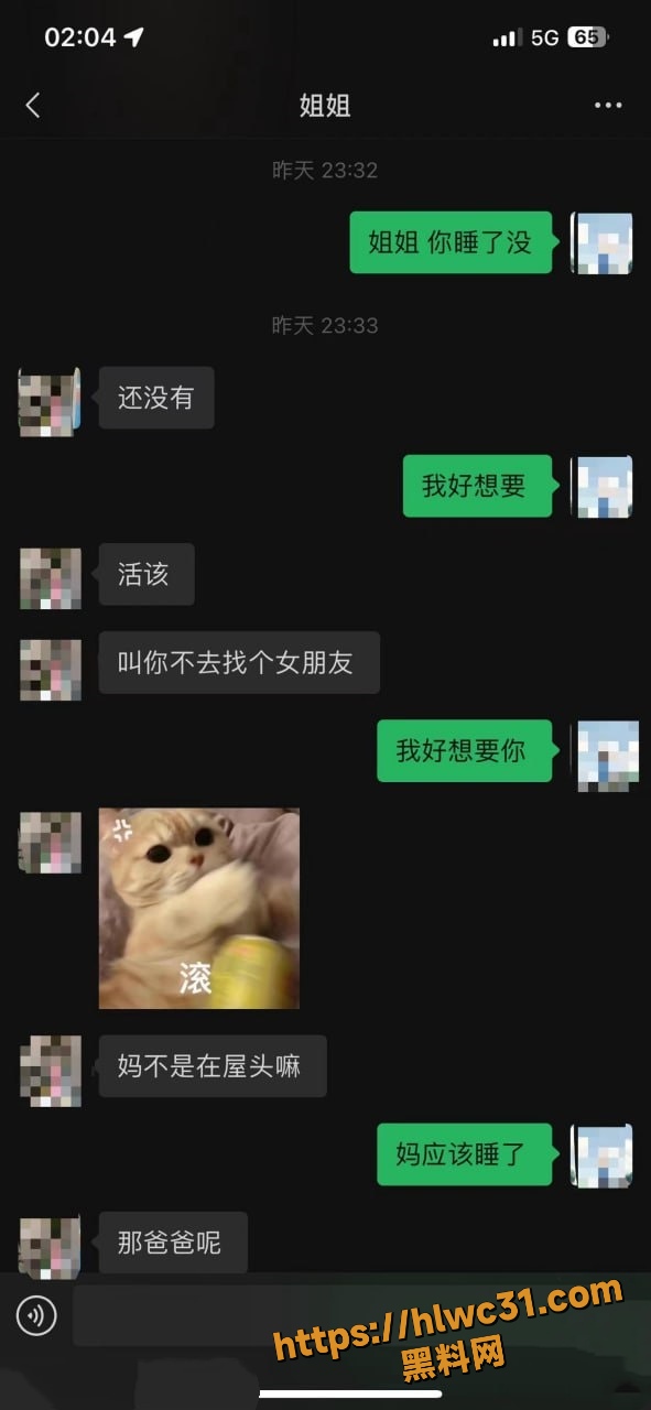 丰乳肥臀的姐姐8
