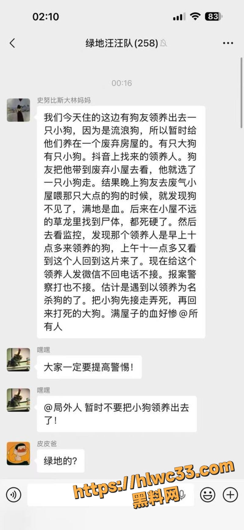 重庆山姆打包哥领养虐狗3