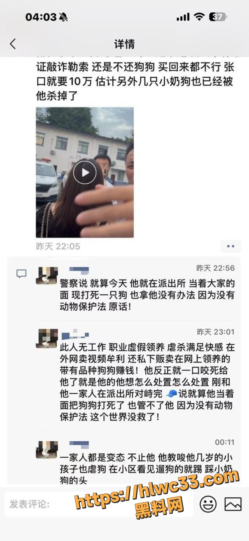 重庆山姆打包哥领养虐狗5