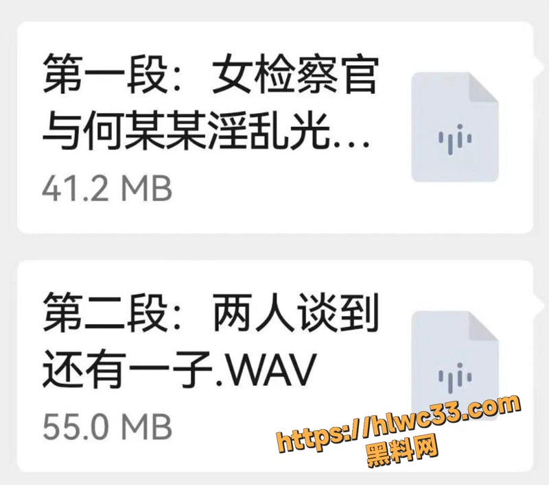 13女检察官王维丹不雅视频3 12wm