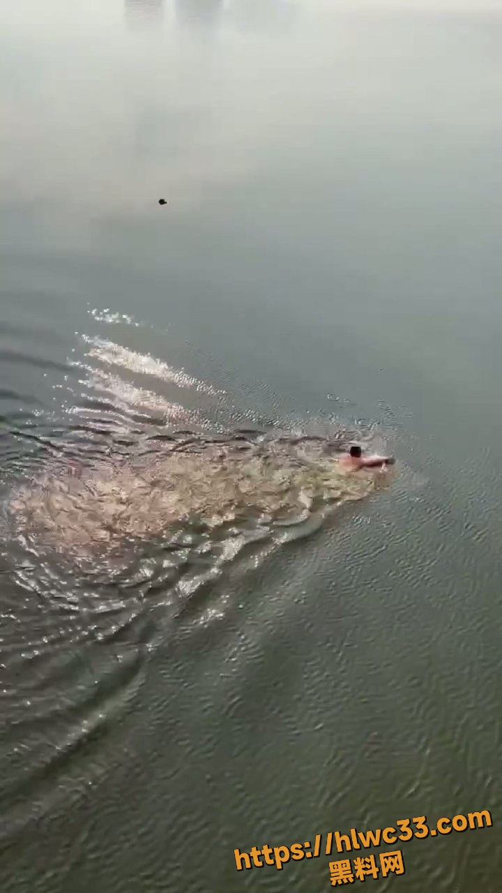 好人好事4