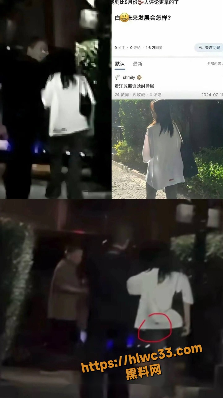 鐧介箍鐗垫墜閫涜