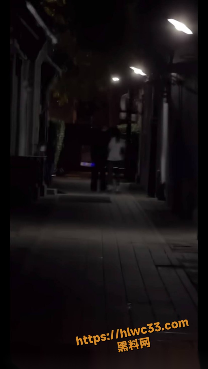 鐧介箍绉佸瘑瑙嗛