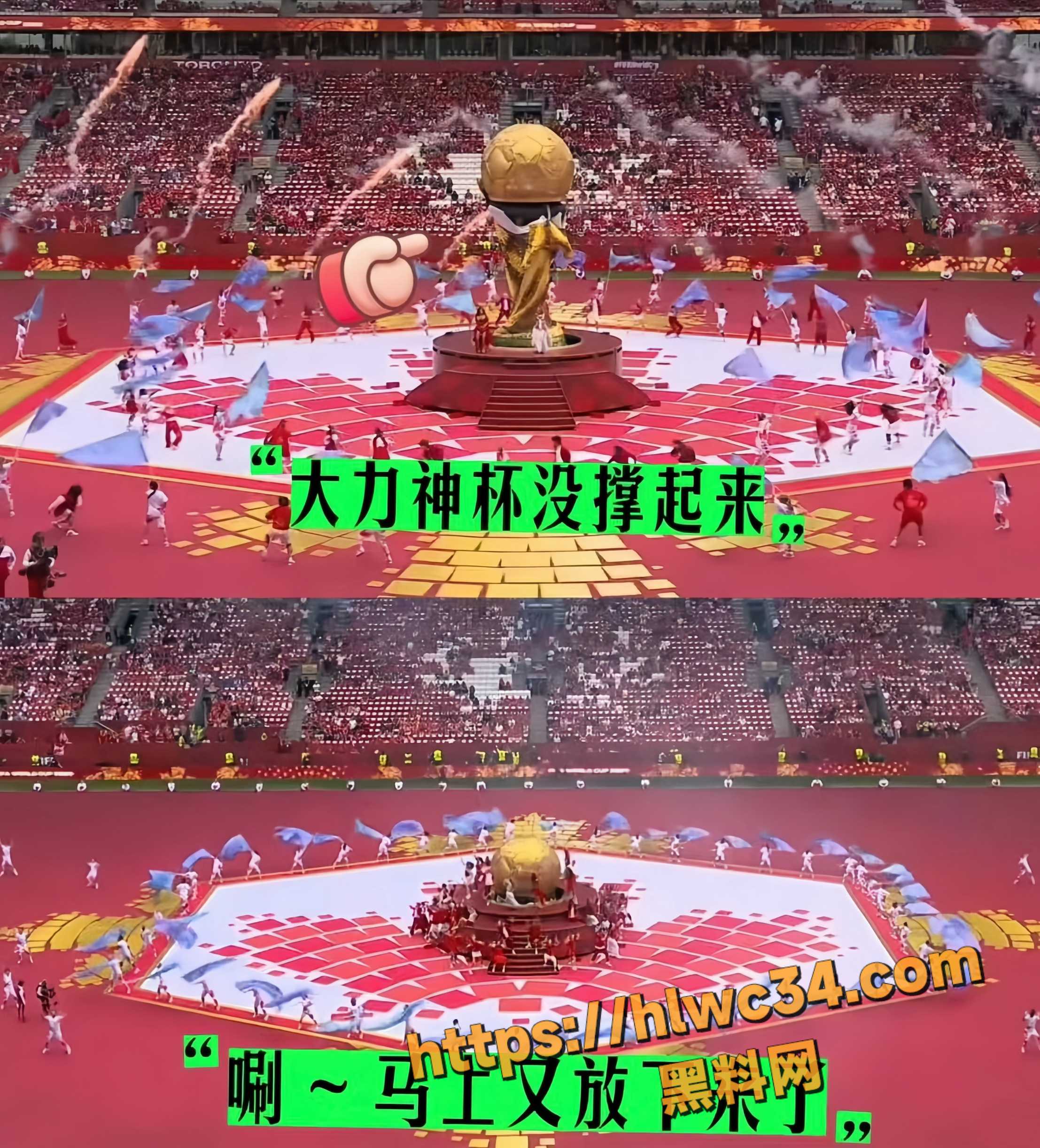 加拿大开幕式翻车事件4