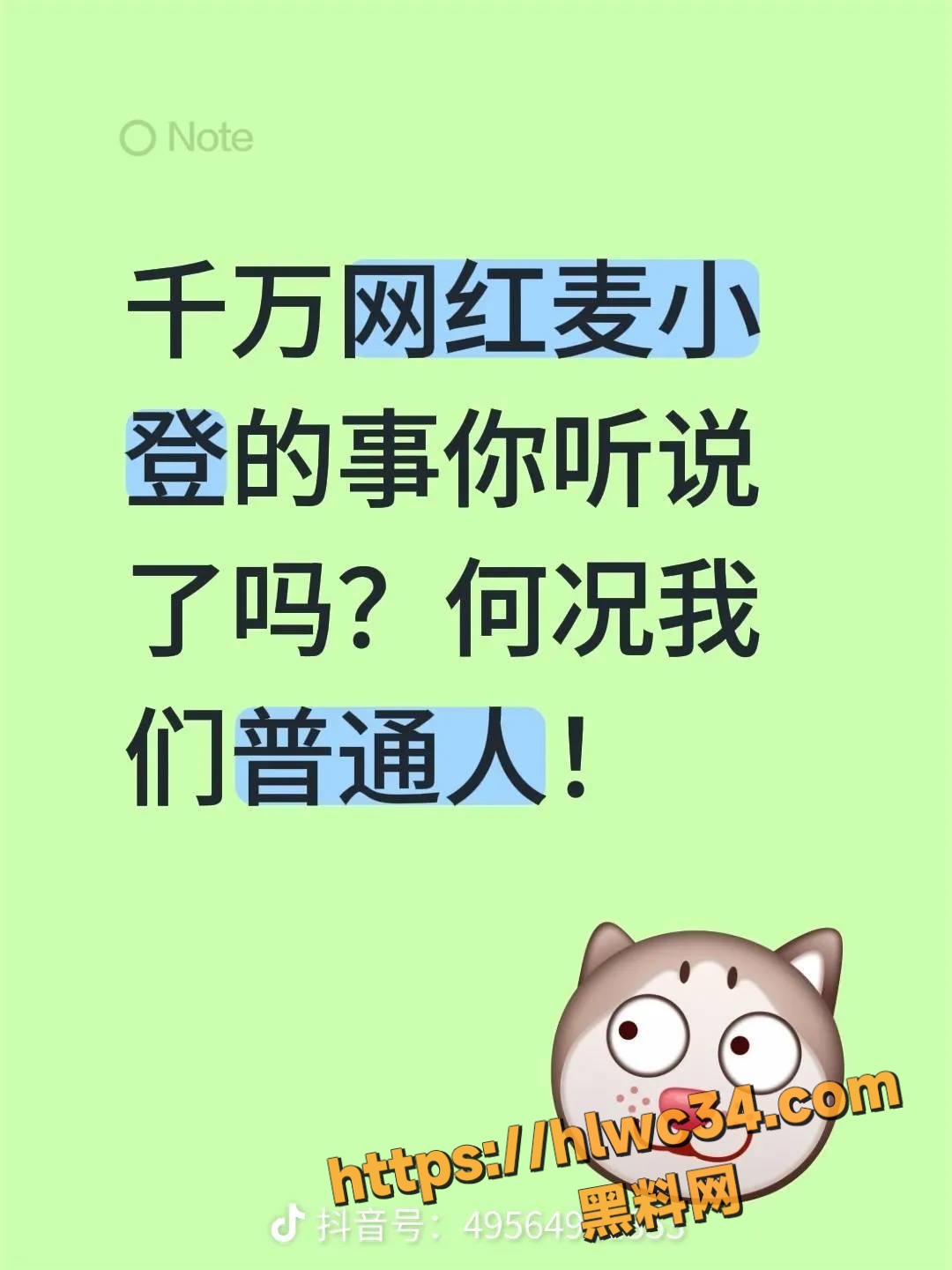 麦小登品牌方私密聊天记录 1