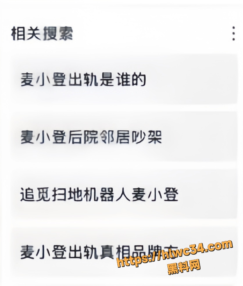 麦小登品牌方私密聊天记录 8