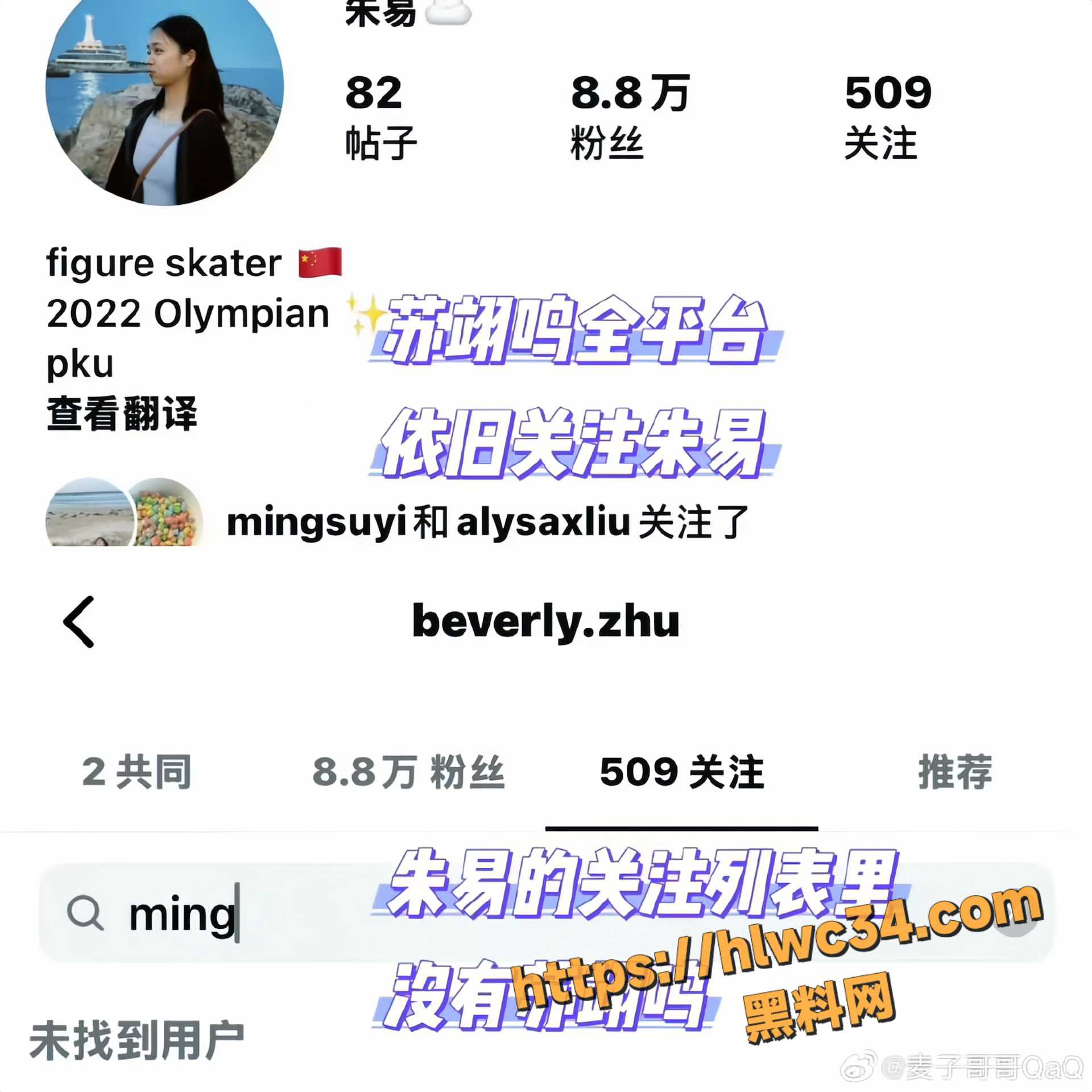 苏翊鸣不雅视频15