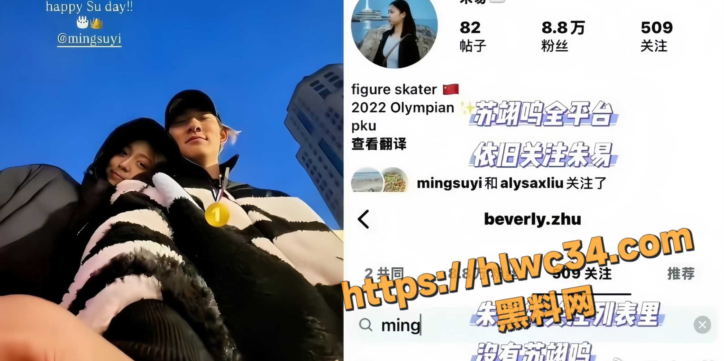 苏翊鸣不雅视频16